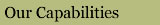 Our Capabilities