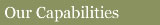 Our Capabilities